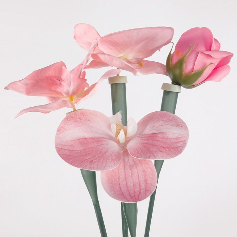 Floral Preservative Tubes Tran - The Florist Supply Shop review and price